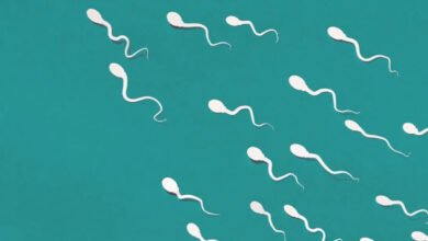 What is the sperm count required to have children?