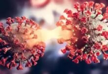 COVID-19 Subvariant NB.1.8.1; Is It Deadly_ Everything You Need To Know About This New Virus
