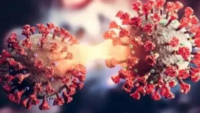 COVID-19 Subvariant NB.1.8.1; Is It Deadly_ Everything You Need To Know About This New Virus