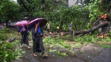 Maharashtra: Raigad Records Over 160-mm Rainfall, 260 Houses Partially Damaged, No Casualties Reported