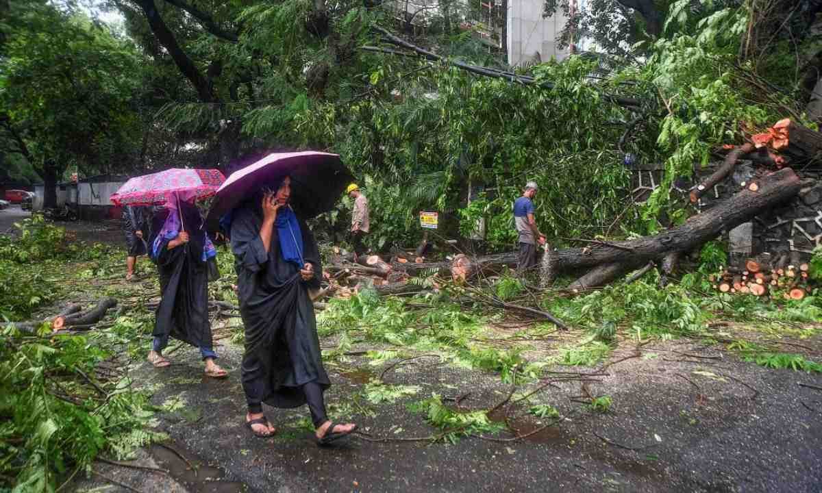 Maharashtra: Raigad Records Over 160-mm Rainfall, 260 Houses Partially Damaged, No Casualties Reported