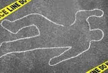 Bengal woman kills nephew, chops up body, hides remains inside cement wall