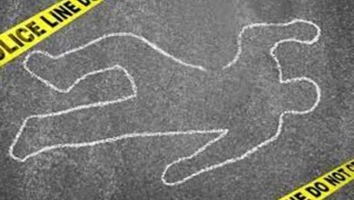 Bengal woman kills nephew, chops up body, hides remains inside cement wall