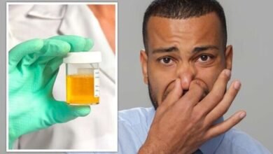 Smelly urine: Causes, other symptoms, treatment, and more