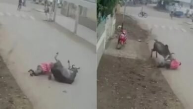 SHOCKING VIDEO